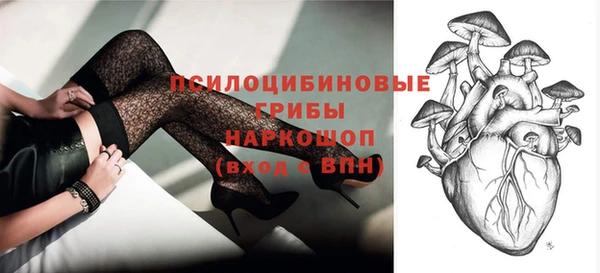 круглые Белокуриха