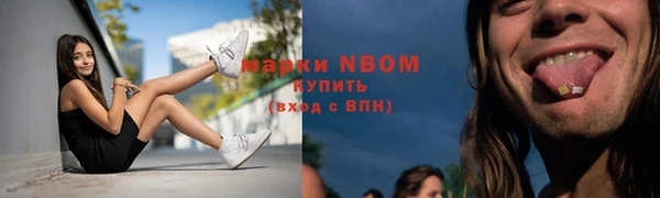 дмт Богданович