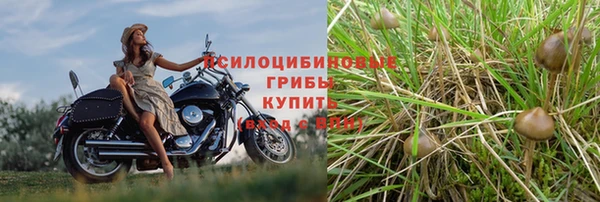 спиды Белоозёрский