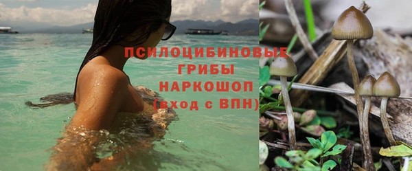 МДПВ Беломорск