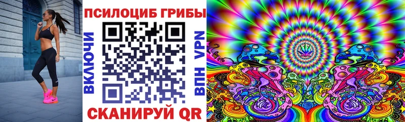 где купить наркоту  Сковородино  Псилоцибиновые грибы GOLDEN TEACHER 